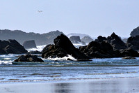 Ocean Basalt