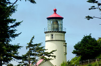 Lighthouse Through the Trees